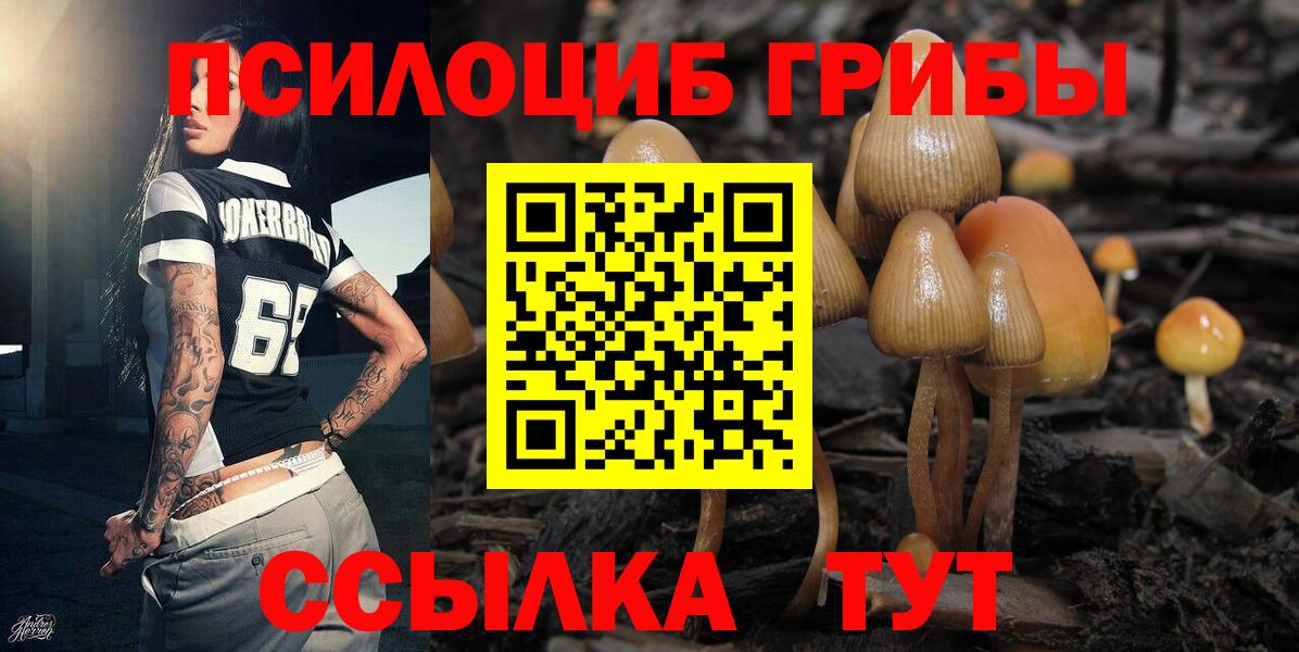 Псилоцибиновые грибы Magic Shrooms Железногорск