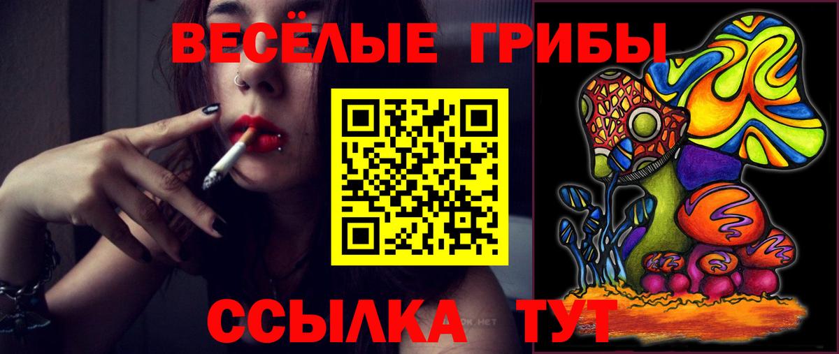 Железногорск  Галлюциногенные грибы Cubensis  Вход с VPN 